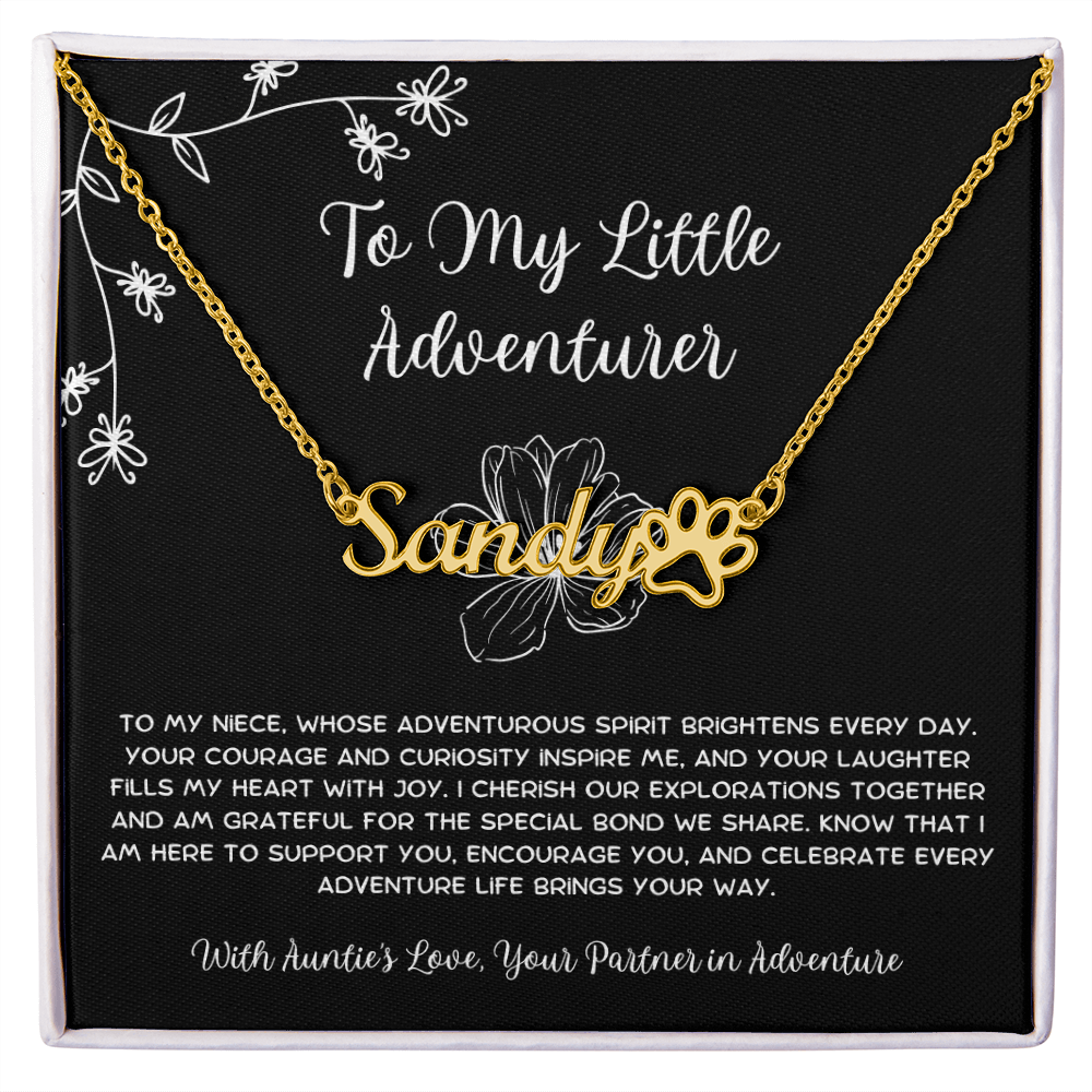 To My Little Adventurer - From Aunt to Niece Paw Print Name Necklace