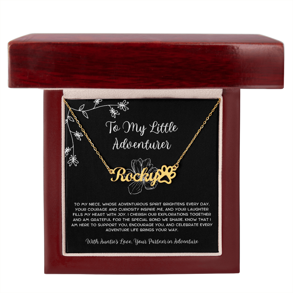 To My Little Adventurer - From Aunt to Niece Paw Print Name Necklace